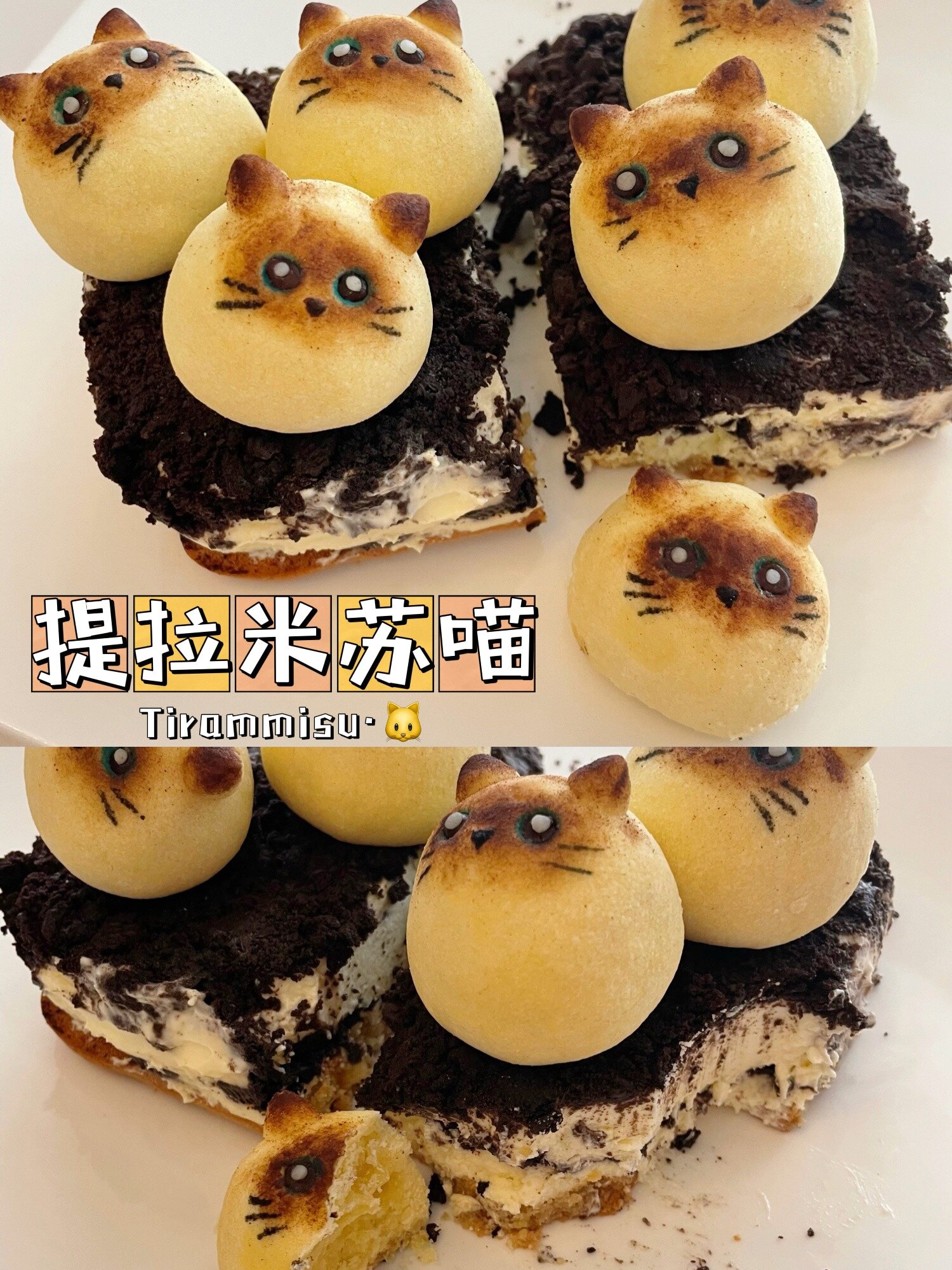 救命!猫咪提拉米苏蛋糕也太可爱了!萌化惹