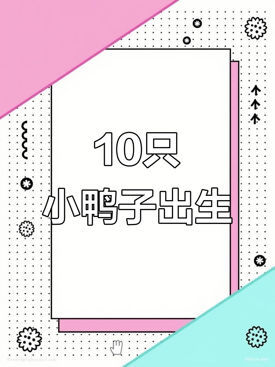 一窝10个蛋，全部孵化成功！番鸭苗的成长故事