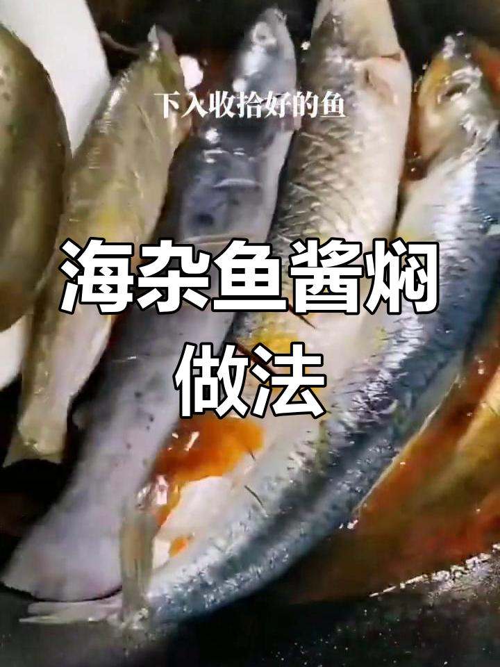 酱焖海杂鱼,鲜香十足,营养满满