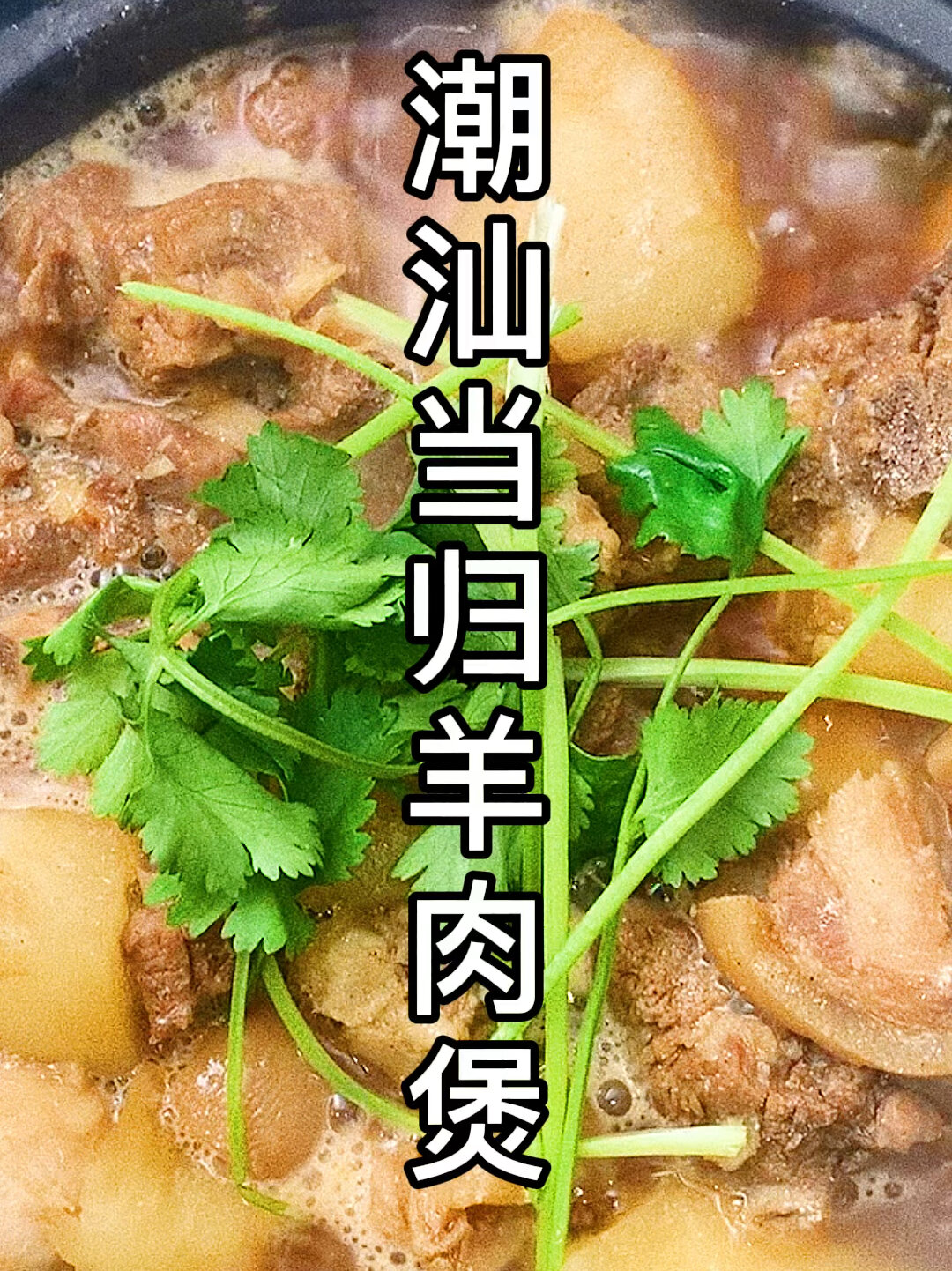 潮汕当归羊肉萝卜煲