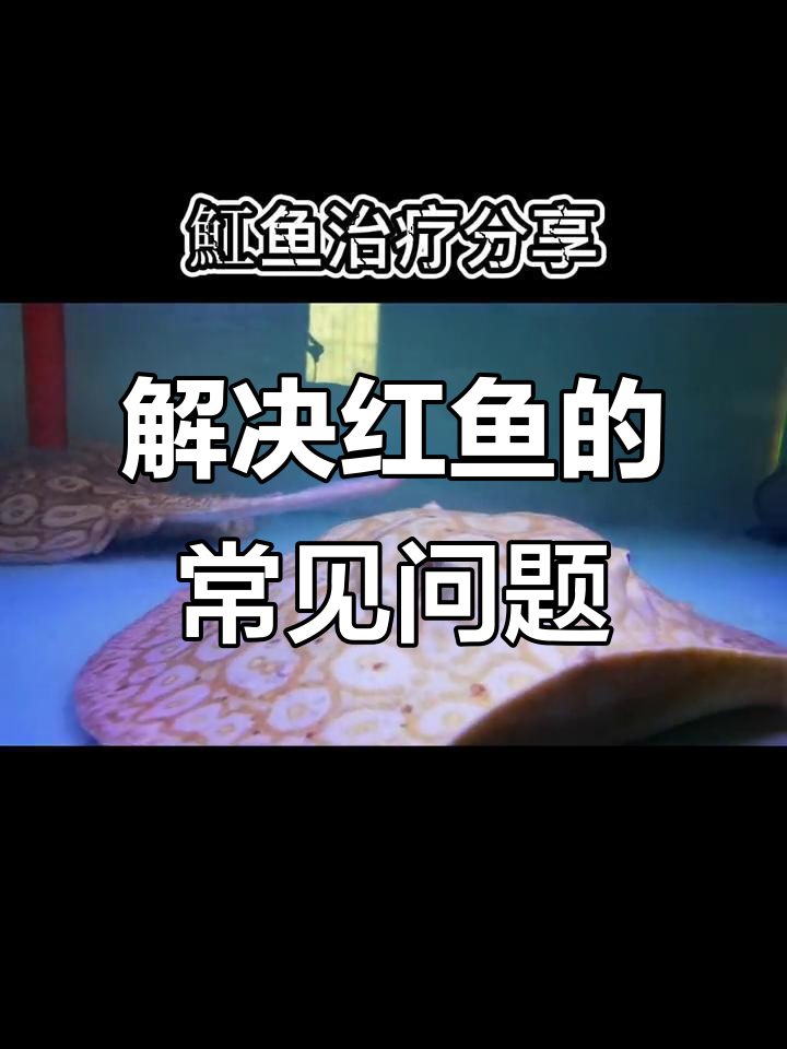 红鱼常见问题与解决方法,水质、交叉感染和肠炎全解析