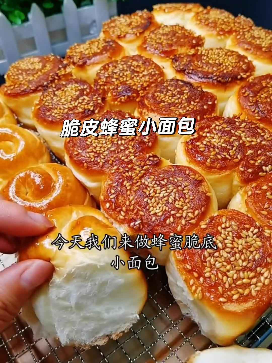 脆皮蜂蜜小面包
