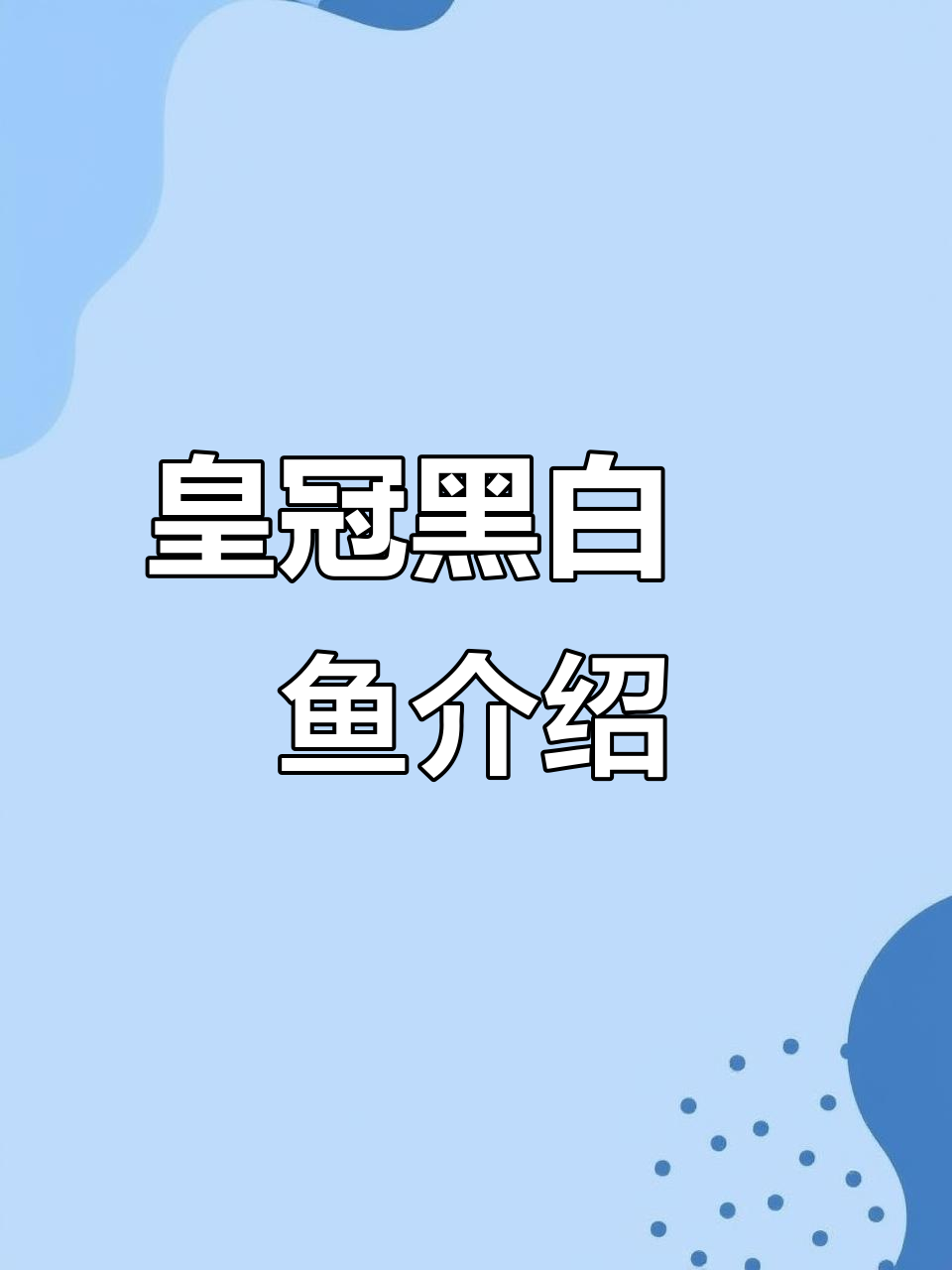 探索皇冠黑白魟鱼的独特魅力，单母鱼种揭秘