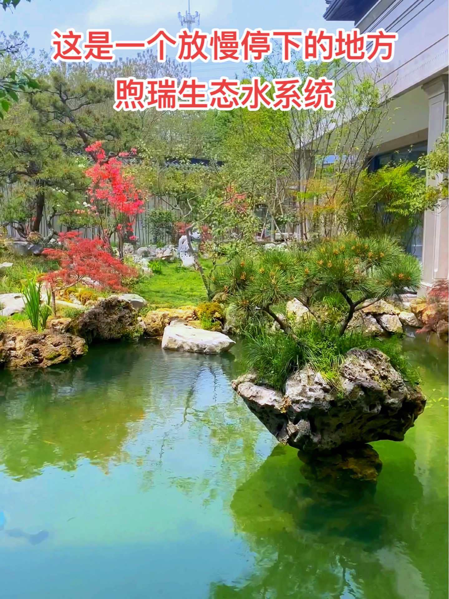这是一个可以放慢,停下来地方。庭院鱼池 鱼池过滤 鱼池净化 鱼池假山 鱼池设计