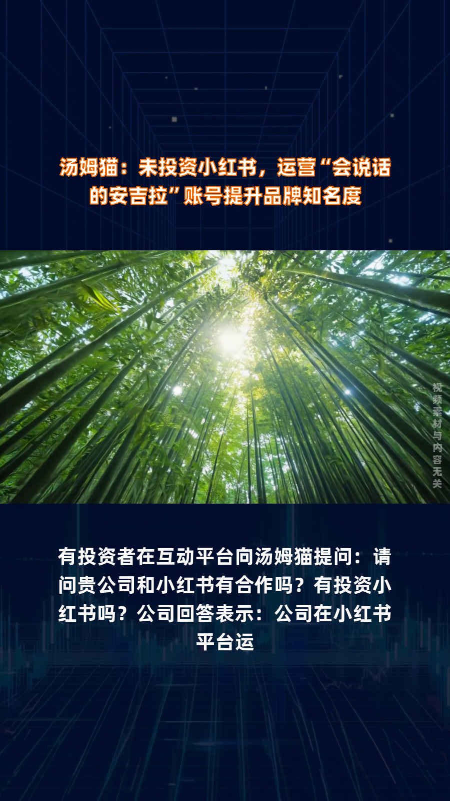 汤姆猫:未投资小红书,运营“会说话的安吉拉”账号提升品牌知名度|快报