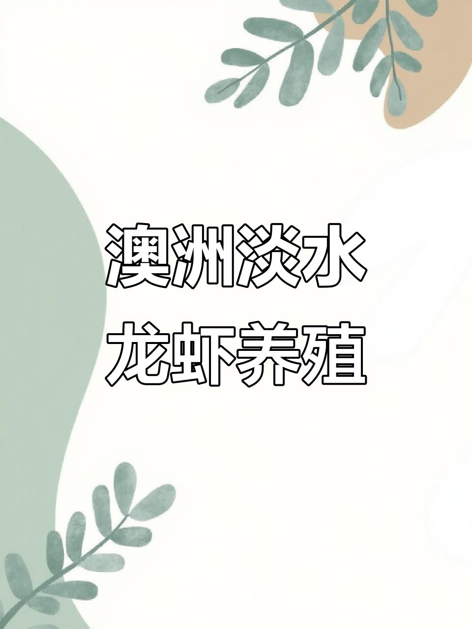 澳洲淡水龙虾养殖揭秘,三农新机遇