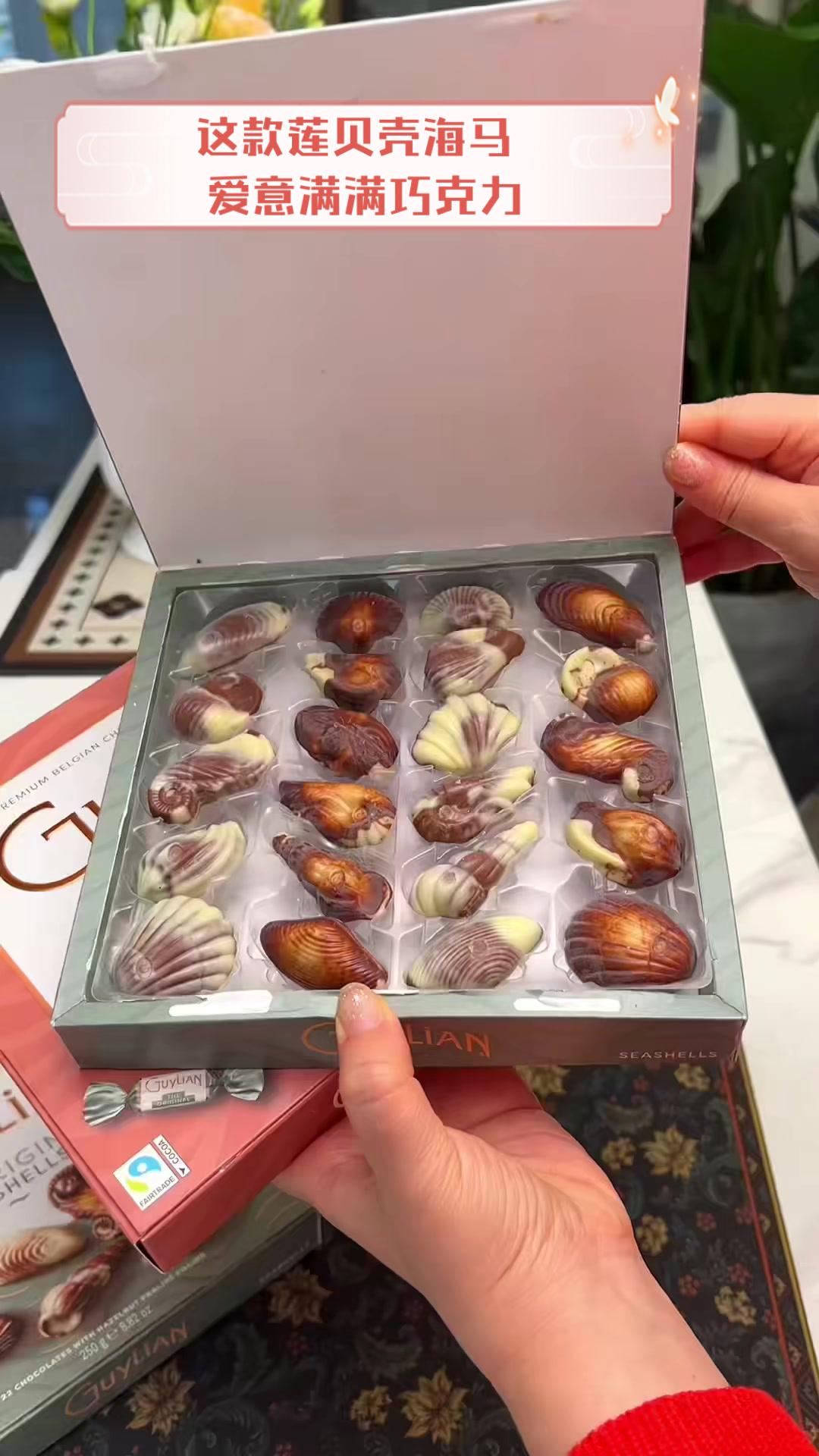 这款莲贝壳海马,爱意满满巧克力