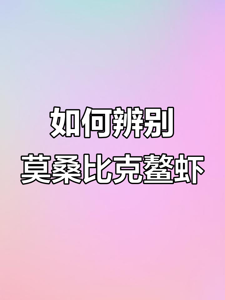 莫桑比克鳌虾真假难辨,如何分辨真伪?