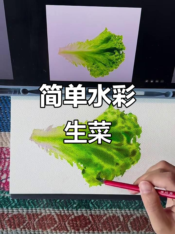 水彩画生菜,轻松上手!