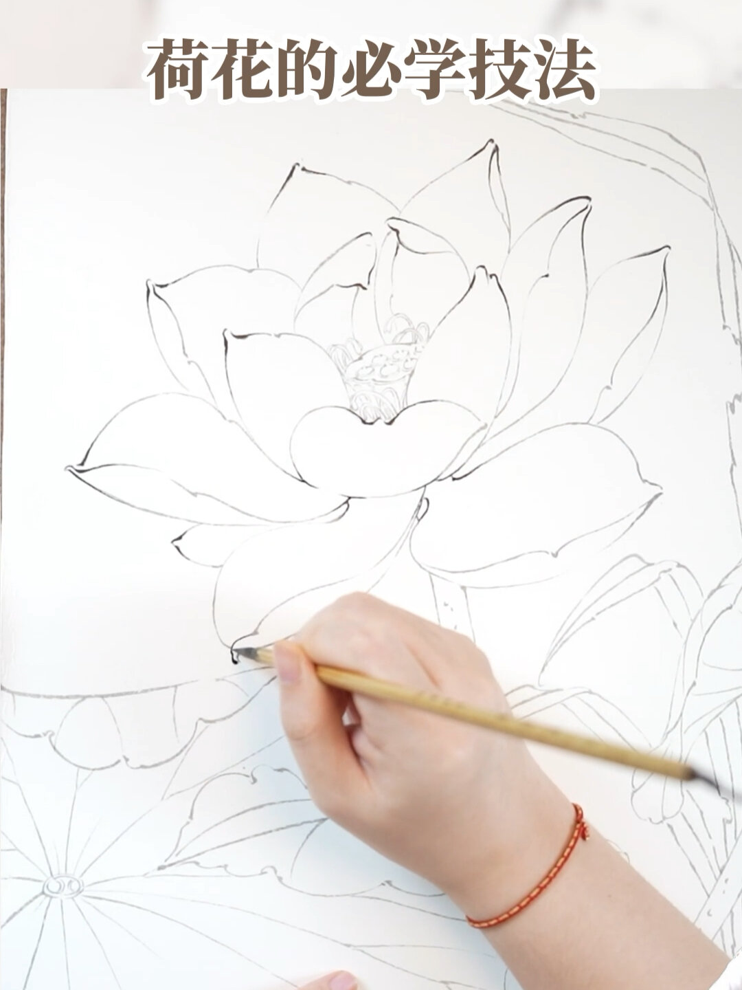 国画视频|白描教程荷花的必学技巧