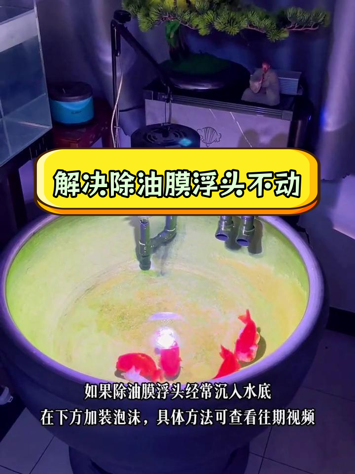 鱼缸除油膜浮头不转的解决方法