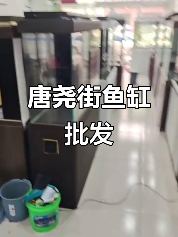 隆尧唐尧街鱼缸批发,品质保障,价格实惠