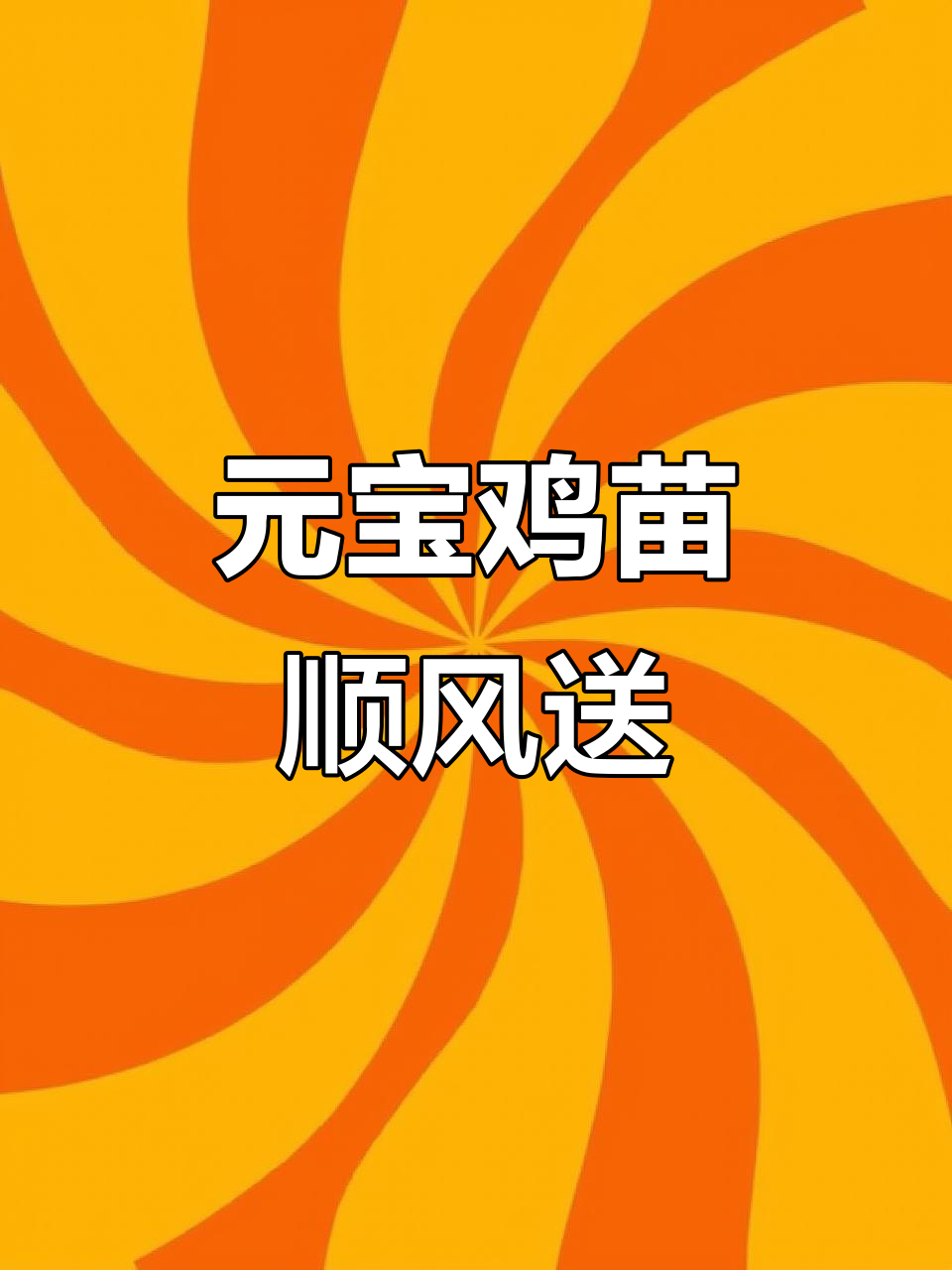 寒风细雨中的乡村记忆,元宝鸡苗顺丰包活