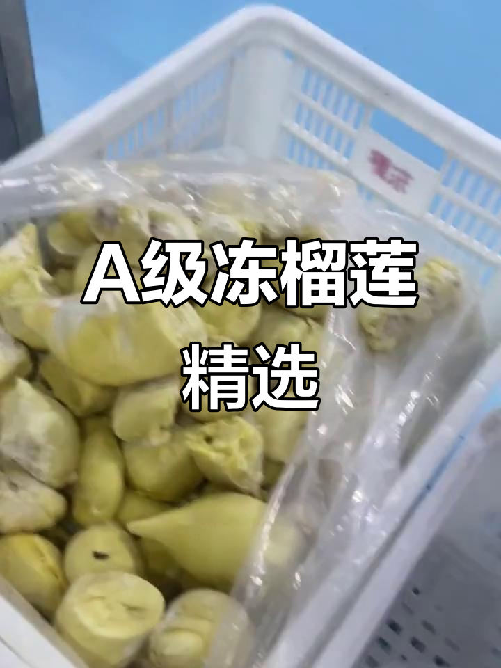 挑选A级冻榴莲肉,工人严选最佳品质装盒