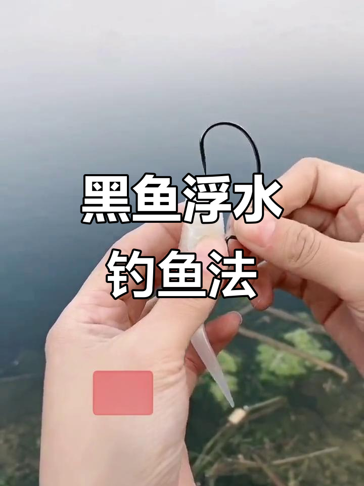 浮水蝌蚪钓黑鱼技巧,轻松掌握钩子操作