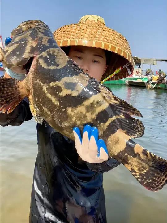 过年过节来上一条大石斑鱼,既好吃又有面子!花小钱办大事!#固体腊八粥谁研究的呢