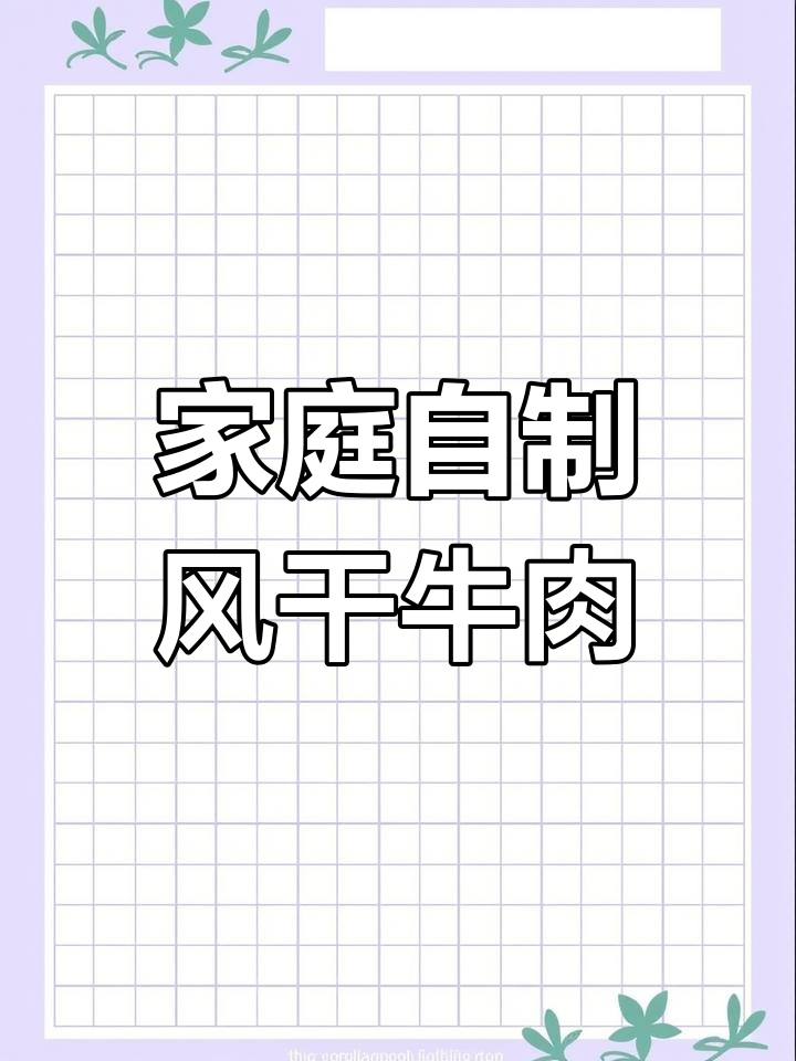 自制牛肉干,简单又好吃!教你做有嚼劲的风干肉