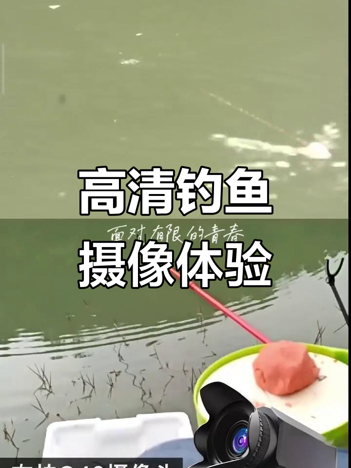 钓鱼的诗意与远方,右拍Q40摄像头带你体验高清美景