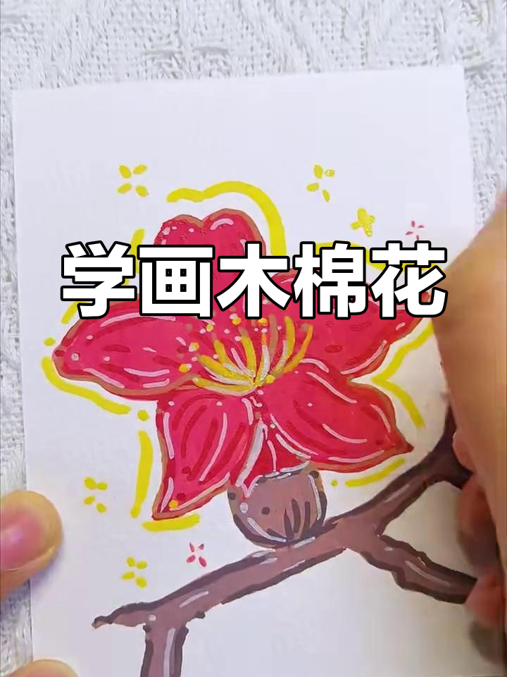 花卉日记:木棉花简笔画教程
