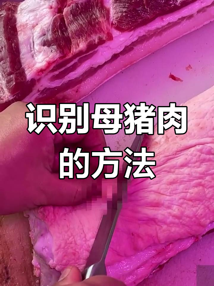 如何辨别淘汰母猪肉