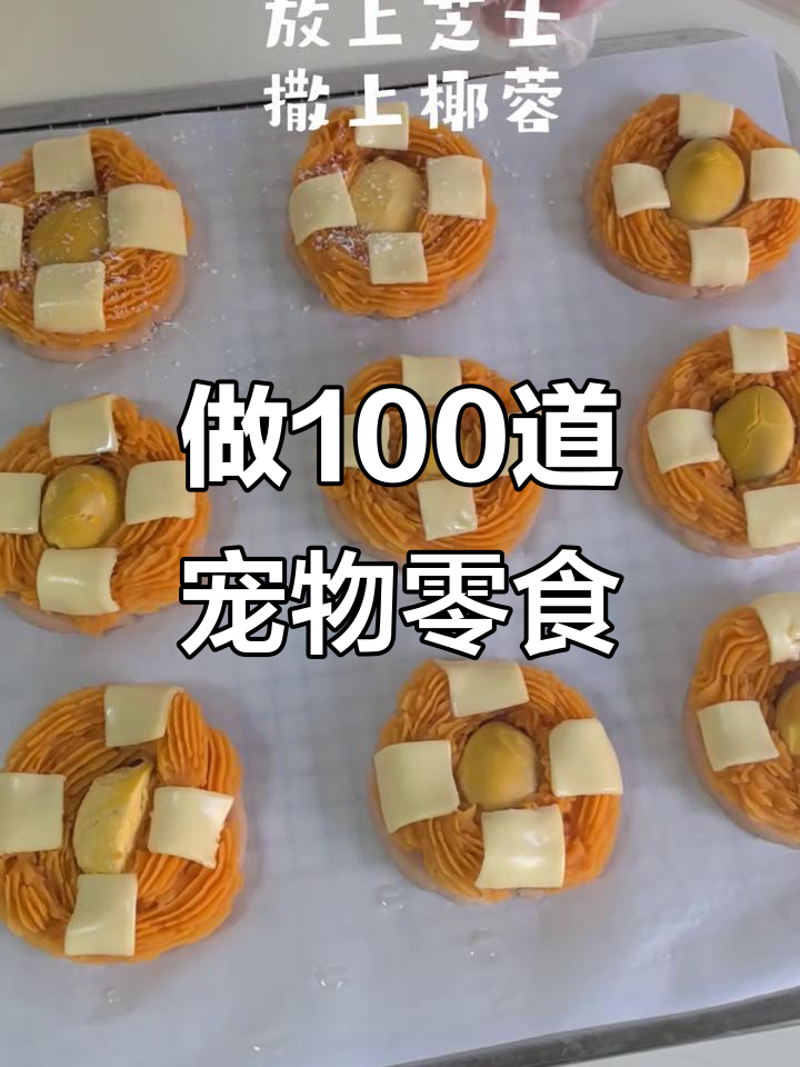 挑战制作100种宠物零食,第8款大满贯披萨来啦!