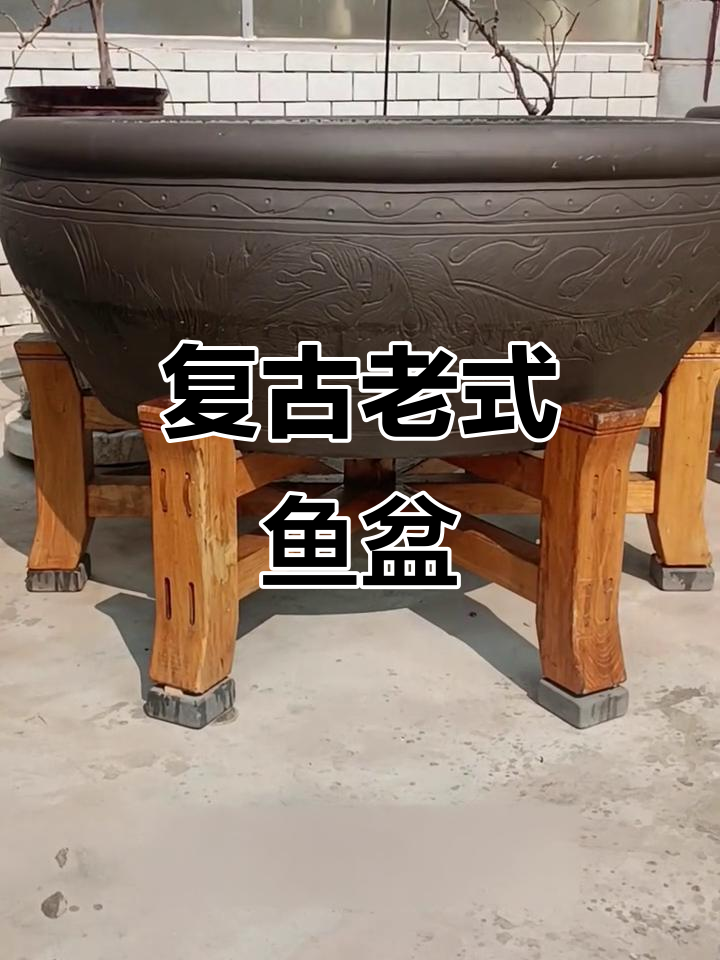 老北京鱼盆,经典中式设计再现金鱼魅力