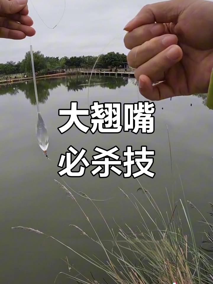 即使助投器无效,泥鳅钓组才是大翘嘴的终极武器