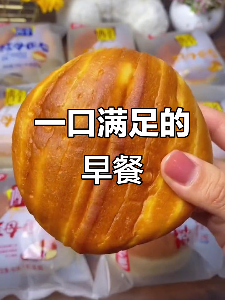 桃李酵母面包,早餐吃一个就够!四种口味任你选
