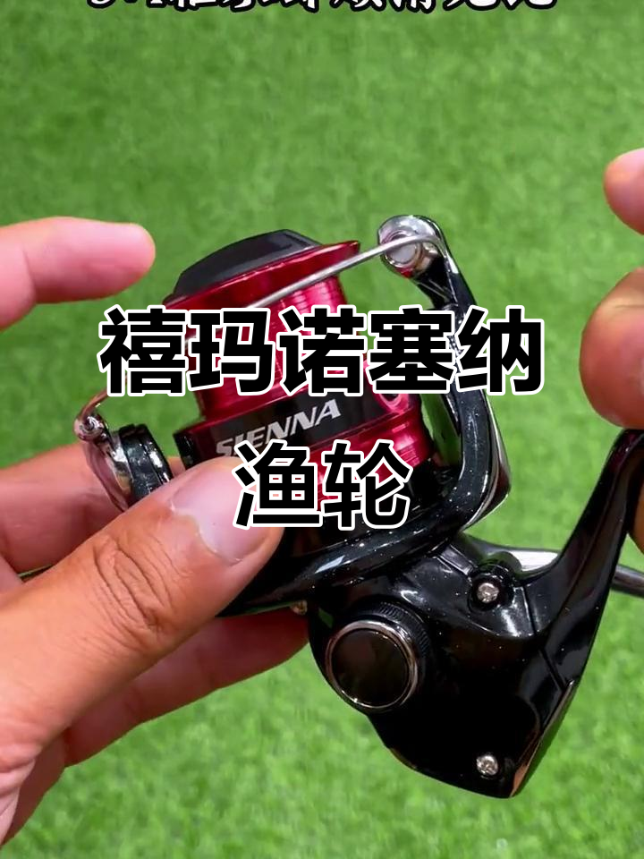 禧玛诺塞纳渔轮:200元内最顺滑的选择,五点零齿轮比四公斤
