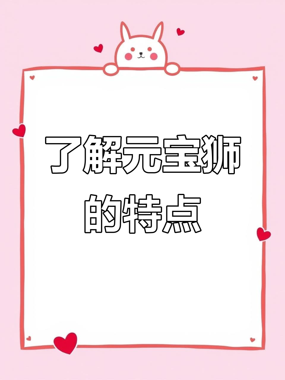 元宝狮:可爱金鱼品种的独特魅力