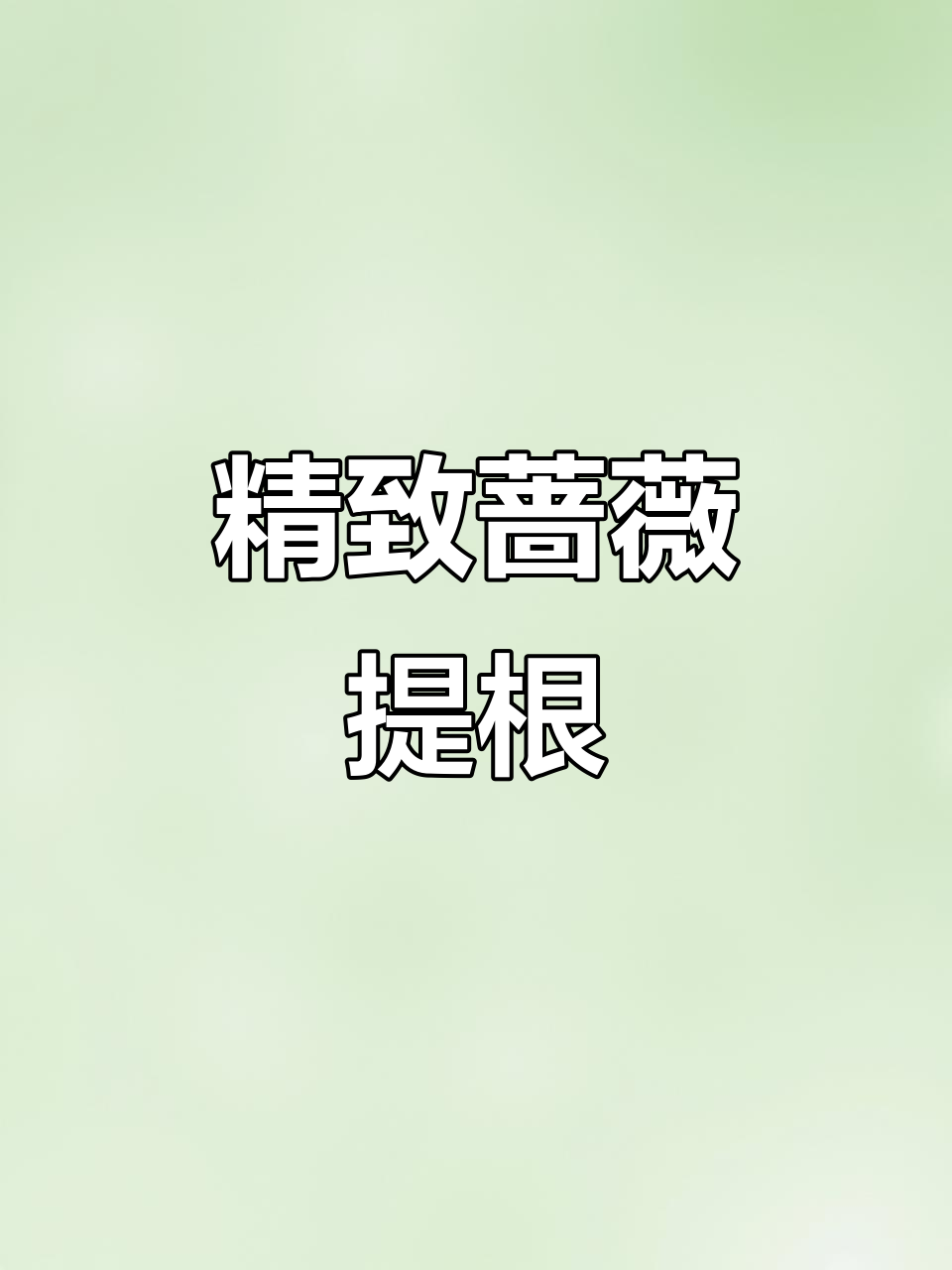 蔷薇提根培养技巧,从废弃枝条到精美盆景