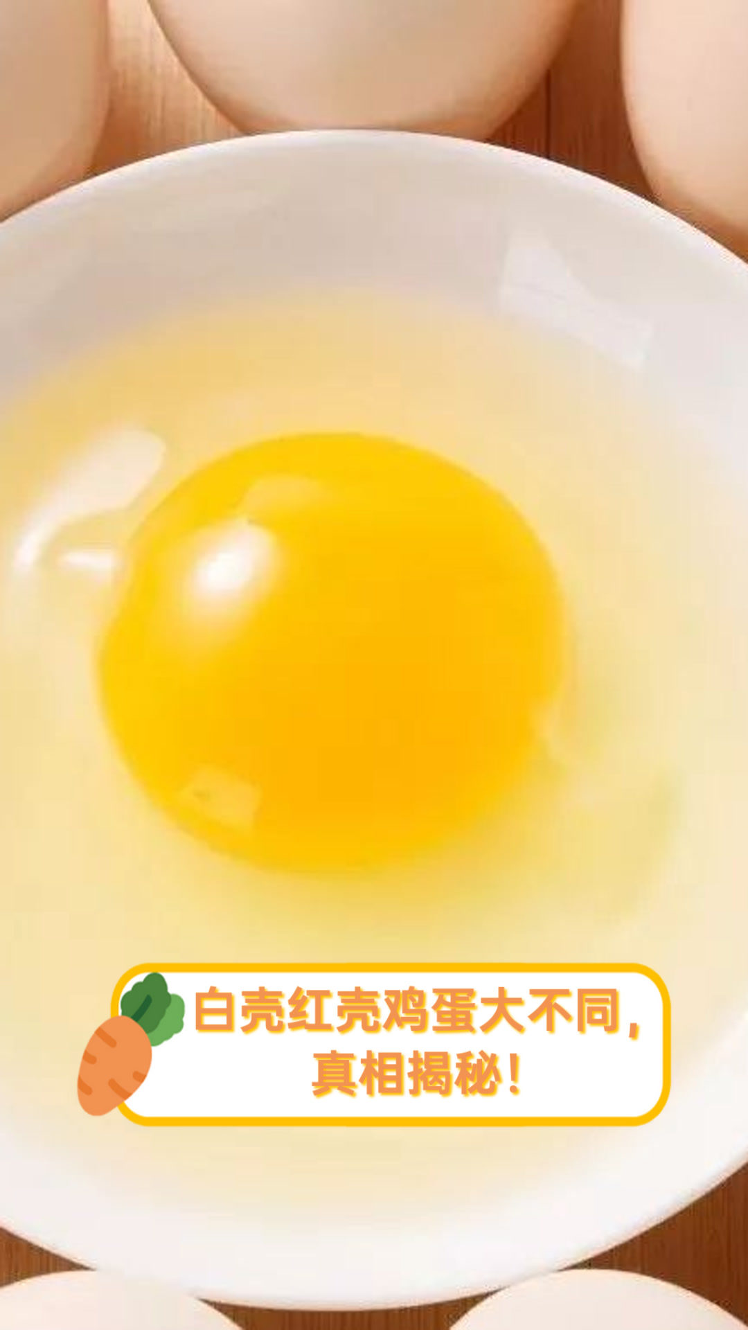 白壳红壳鸡蛋大不同，真相揭秘！