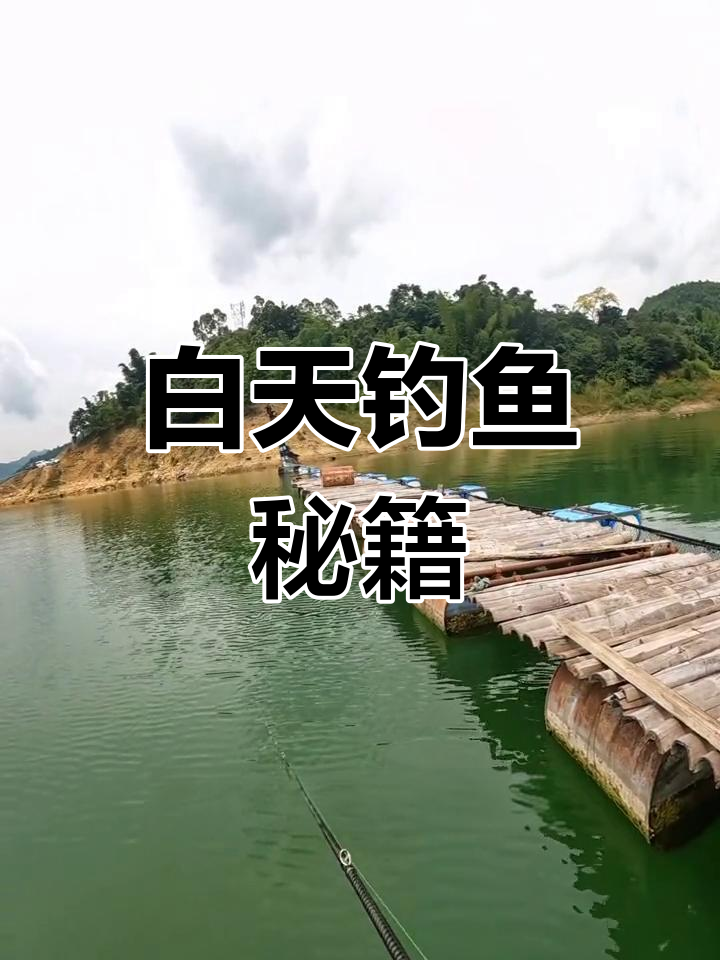 万峰湖白天钓鱼技巧,轻松捕获鱼儿!