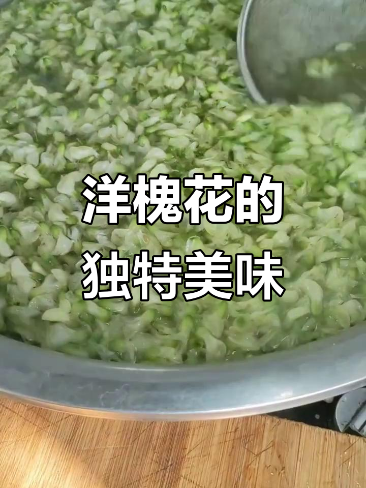 洋槐花新吃法,香气扑鼻,一试成主!