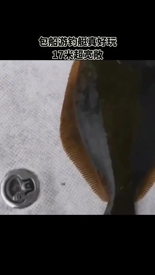 天天海乐游艇·出海·海钓,17米休闲游钓艇包船,现价1500元。晚上出海钓鱼呀,渔具、鱼饵