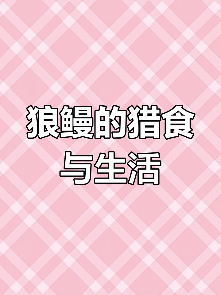 狼鳗的生存法则:弱肉强食与伴侣忠诚