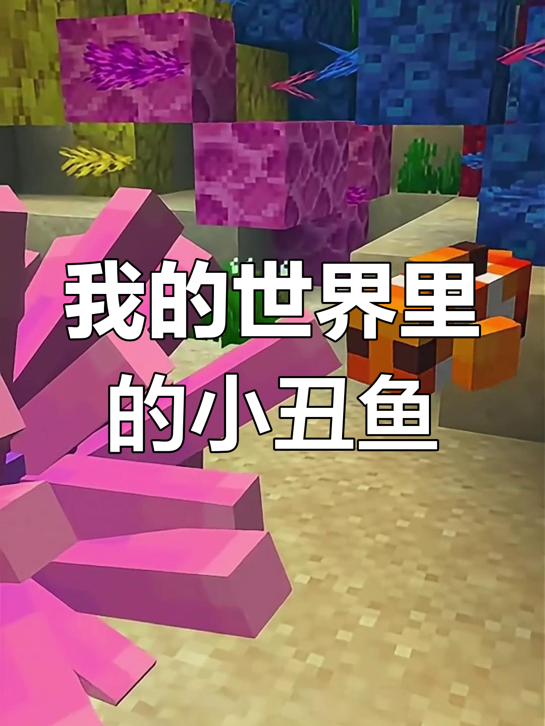 在《我的世界》中添加小丑鱼,它们会产卵、跳舞还能加入马戏团