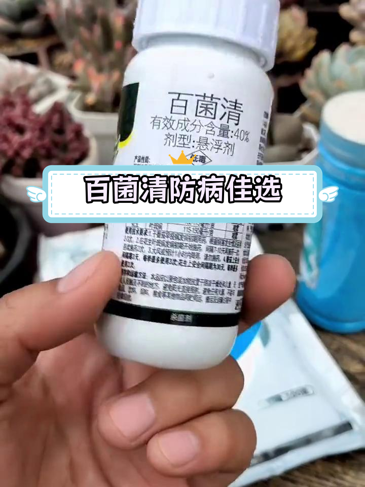多肉植物常见病防治必备药