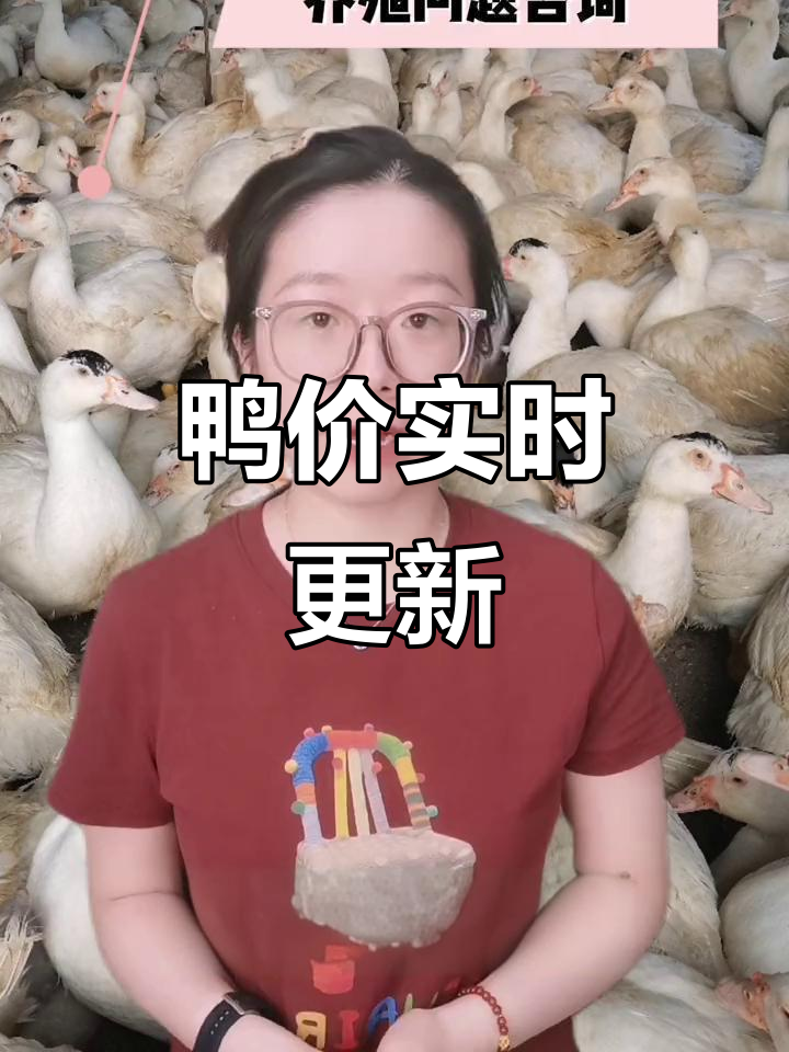 番鸭、肉鸭价格每日更新,市场行情一网打尽!