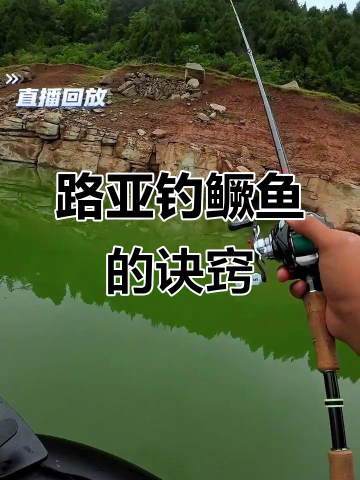 鳜鱼路亚技巧:如何避免吐饵?