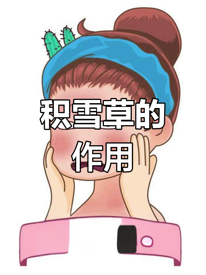 积雪草的护肤功效与应用