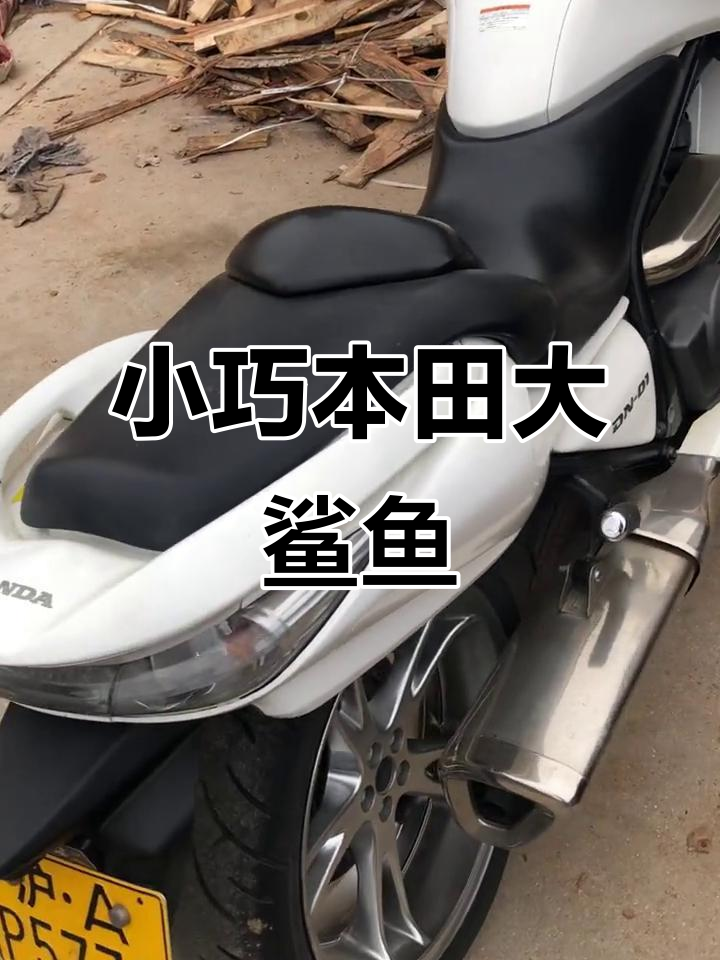 本田大鲨鱼:超低坐姿,轻松驾驭的巡航小排量