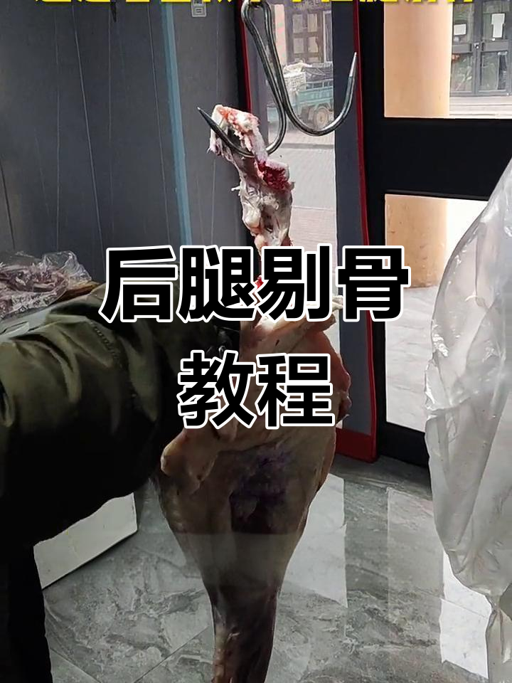羊后腿剔骨技巧,轻松分离羊肉卷