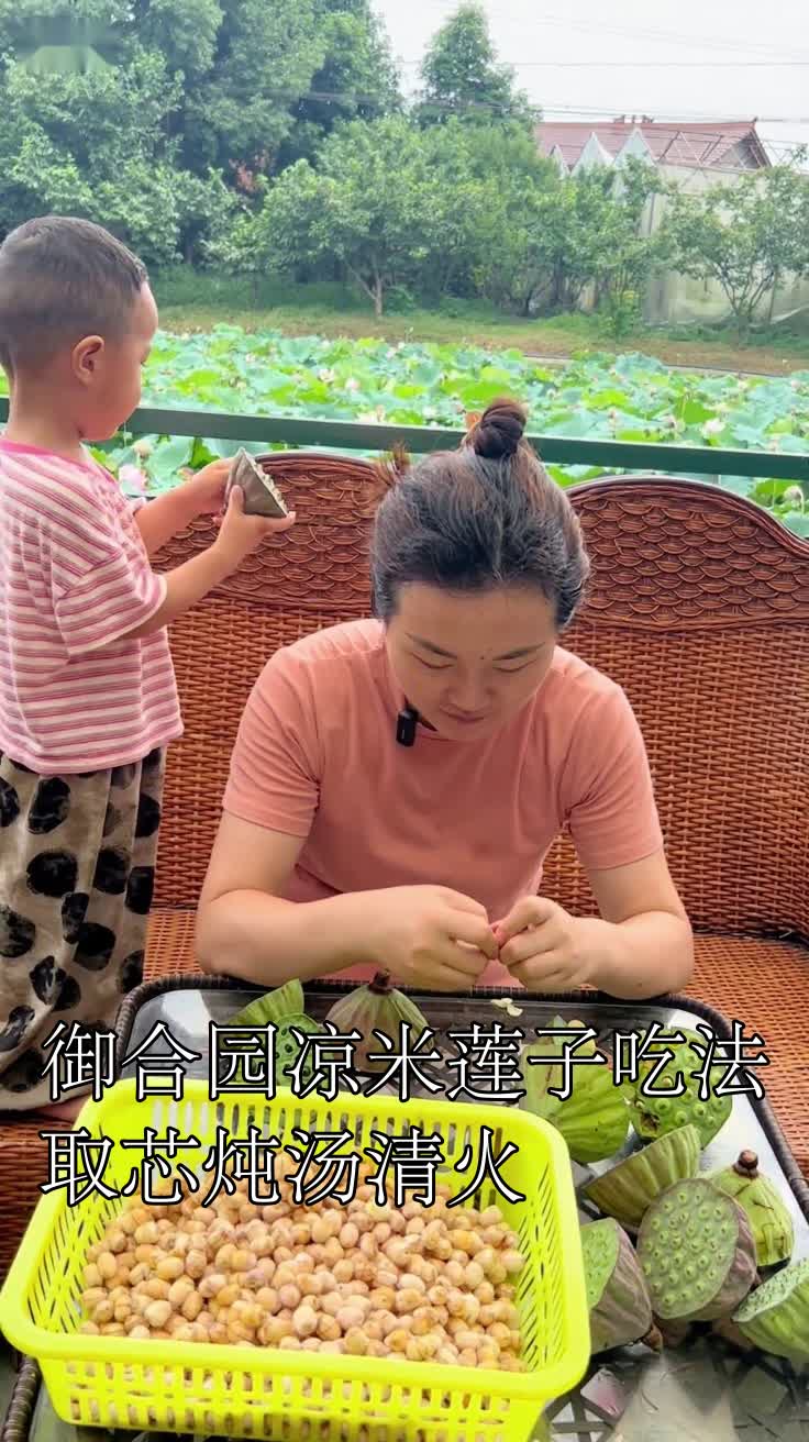 御合园凉米莲子吃法取芯炖汤清火