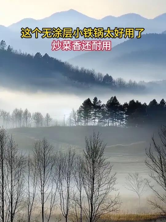 这个无涂层小铁锅太好用了,炒菜香还耐用 厨房好物 铁锅 不粘锅 厨房用品 好物推荐