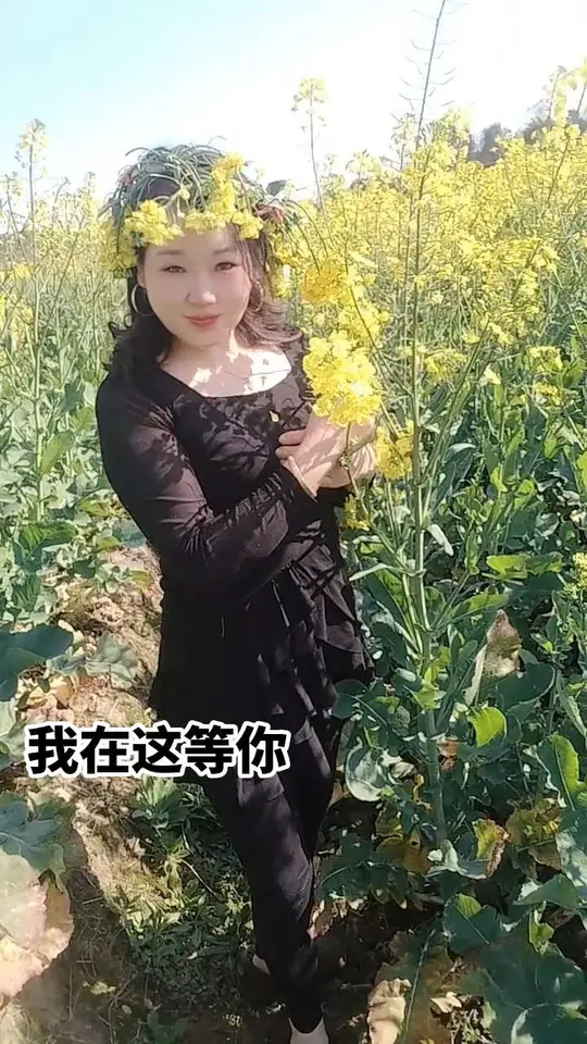 油菜花地有约吗?