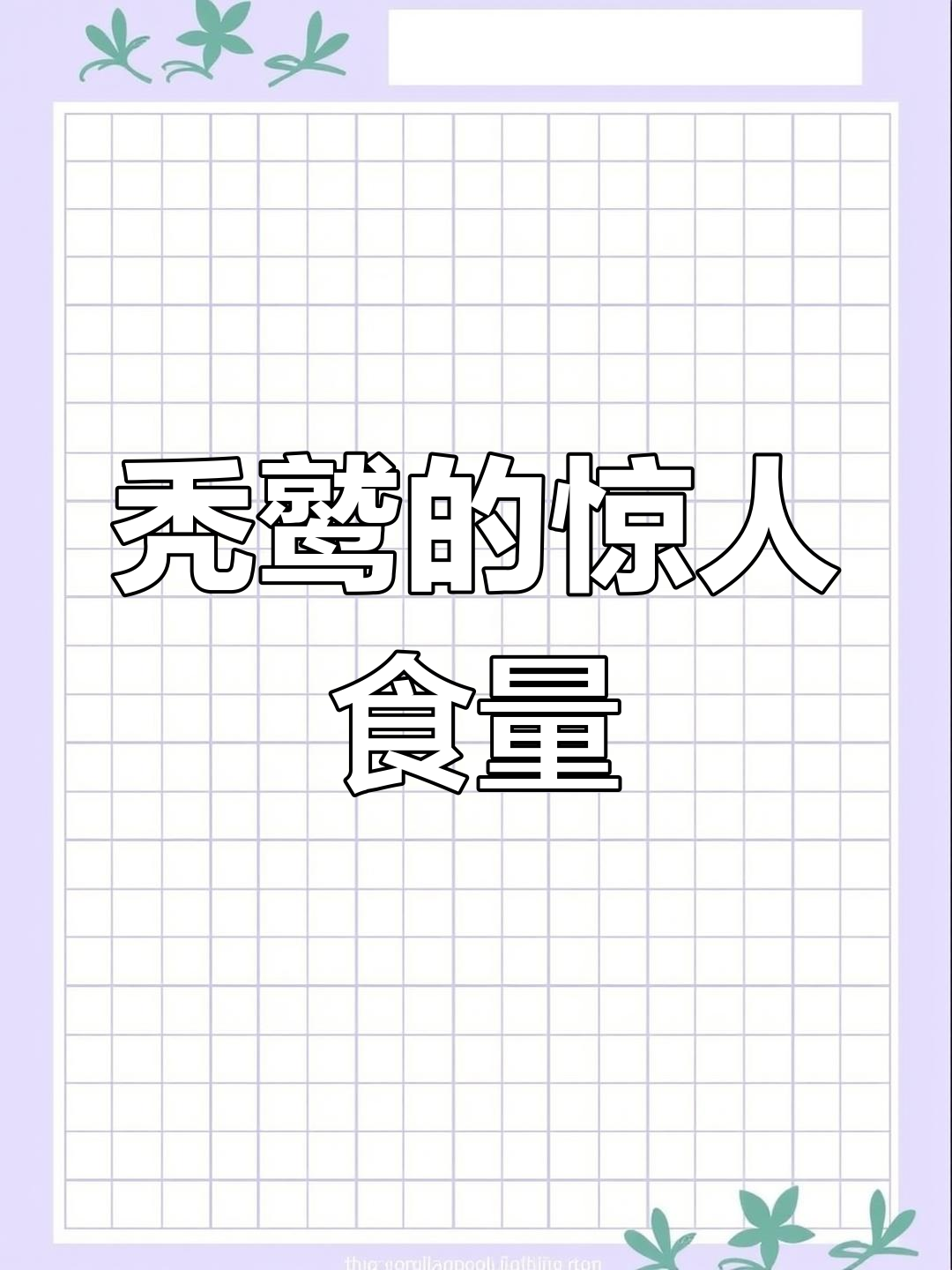 秃鹫为何只吃腐肉?几分钟内吞下整头牛,令人惊叹!