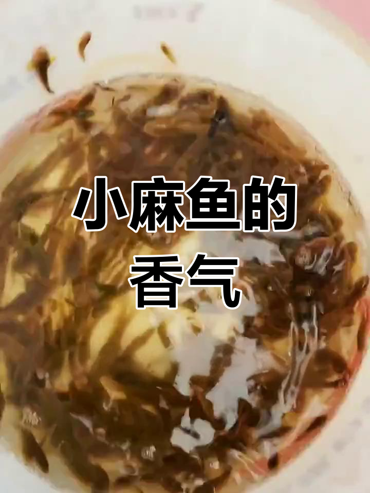 河边小麻鱼,回家一做,香脆可口,味道绝佳!