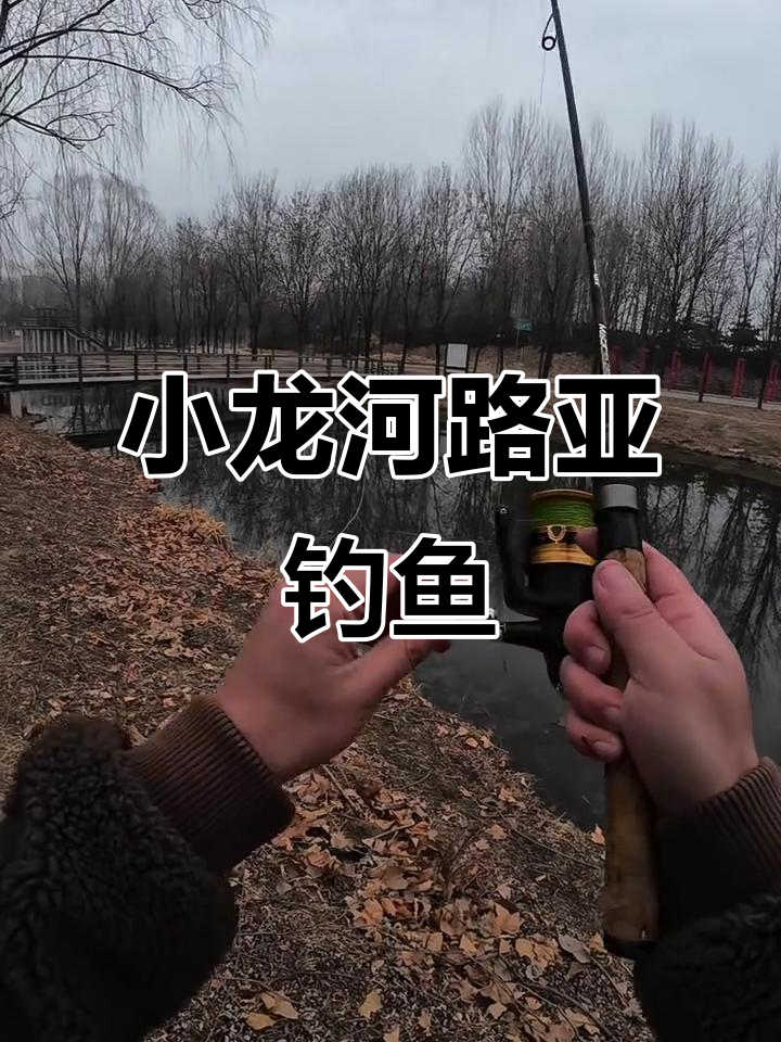 自制小龙河路亚钓组,轻松捕捉鲫鱼!
