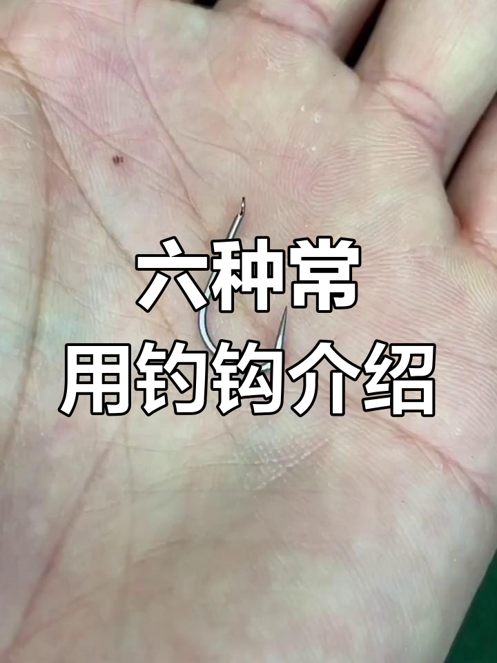 钓鱼必备鱼钩种类解析